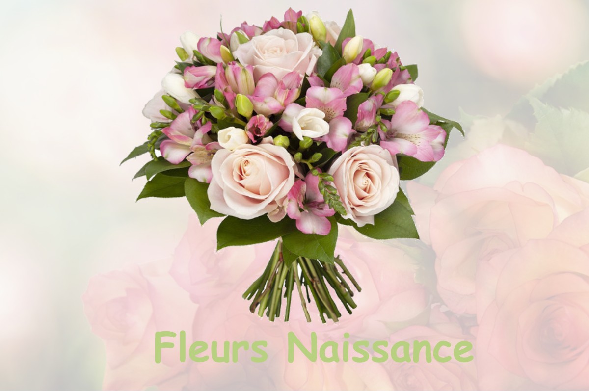 fleurs naissance YGOS-SAINT-SATURNIN